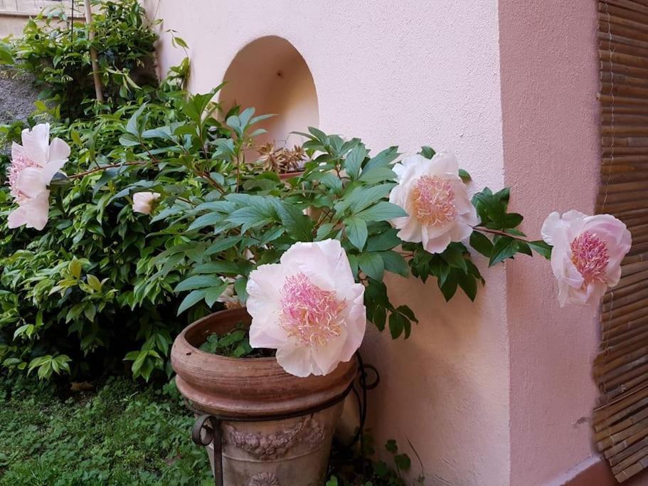Pet-friendly Nel Centro Storico Di * Genua